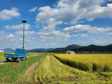 画像をギャラリービューアに読み込む, 【新米】兵庫県但馬産特別栽培コシヒカリ