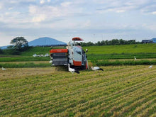 画像をギャラリービューアに読み込む, 【新米】兵庫県但馬産特別栽培コシヒカリ