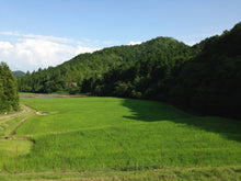 画像をギャラリービューアに読み込む, 京都府産特別栽培コシヒカリ
