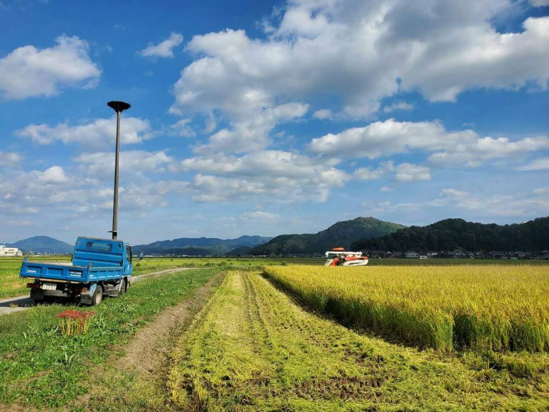 兵庫県但馬産特別栽培コシヒカリ – 宅配農場「精米人」