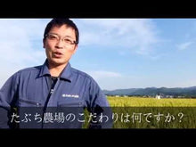 ギャラリービューア丹波篠山産特別栽培コシヒカリ（丹波たぶち農場）に読み込んでビデオを見る
